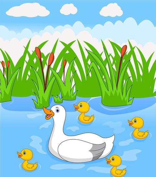 卡通鸭和她的四只可爱的小鸭子一起游泳图片