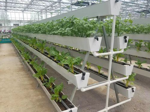 草莓立体栽培槽立体栽培设施立体无土种植槽 草莓种植槽 立体种植槽