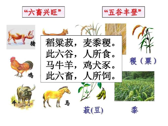 地 > 古代中国的农业经济(定稿)