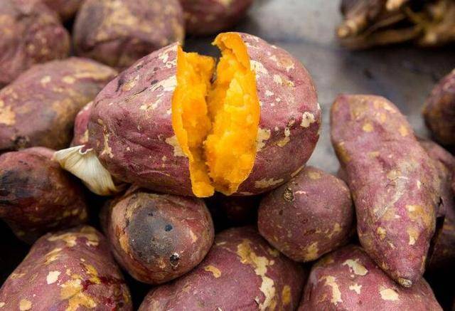 吃红薯的7大好处,吃红薯能减肥吗,红薯的食用注意事项有哪些?