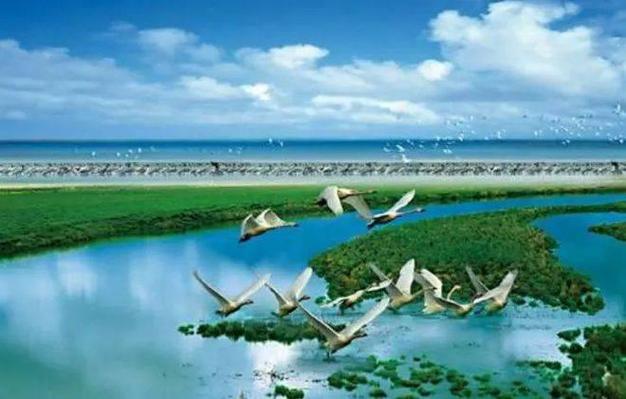 鄱阳湖景区位于江西省上饶市鄱阳县双港镇鄱阳湖国家湿地公园