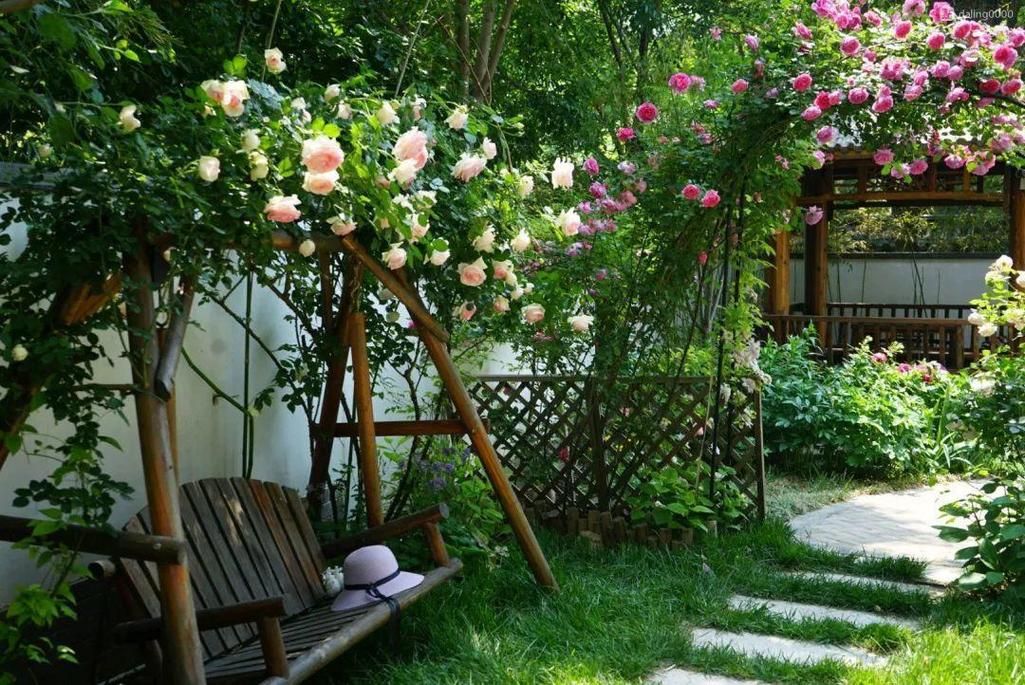 寻一方小院,建一处花园,养花喝茶一辈子