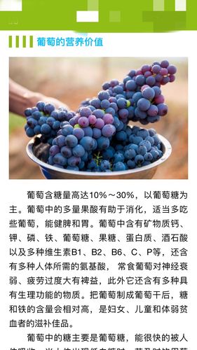 葡萄食用营养价值