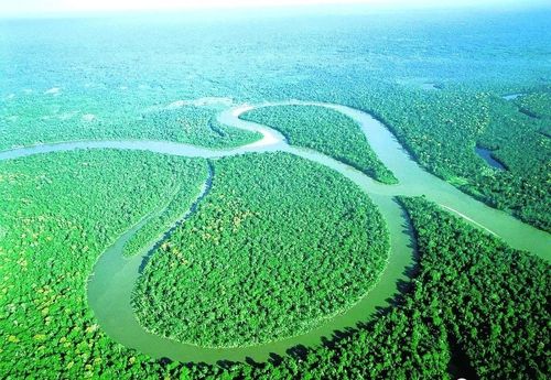 世界河流之王是哪条河
