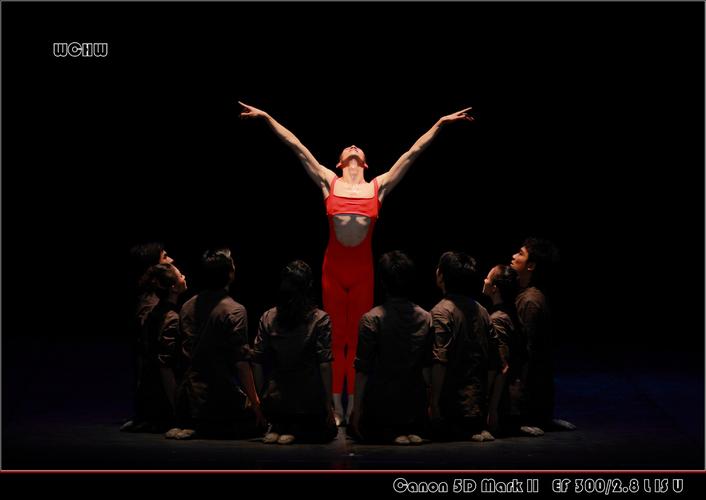 芭蕾舞团在北大百年讲堂在中国首演贝雅大师代表作芭蕾舞剧《火鸟》